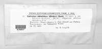Image Associated With the Occurrence